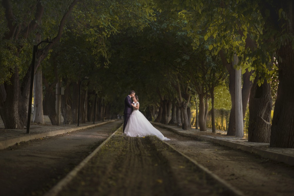 Seeking A Wedding Photographer