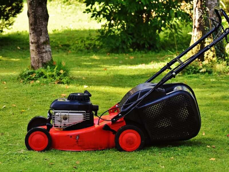I Can Mow Your Lawns