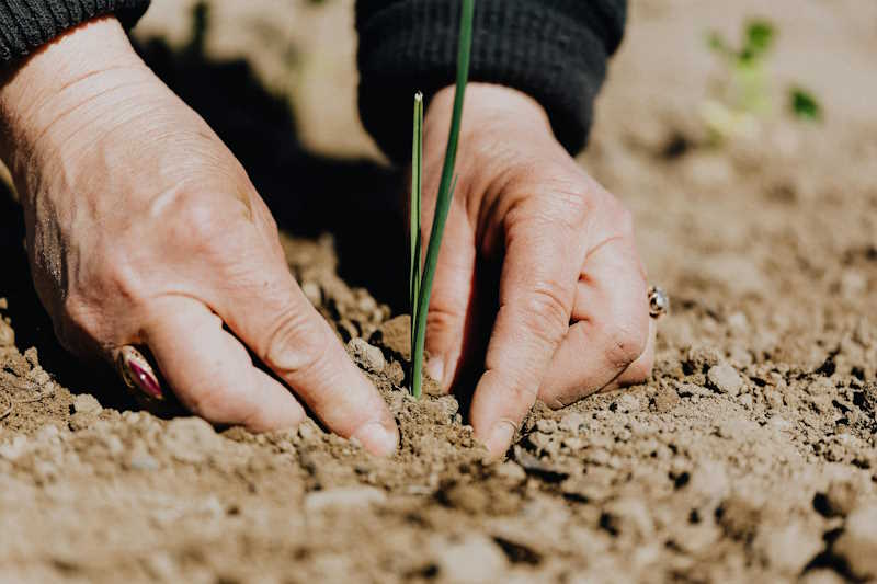 Master Gardener