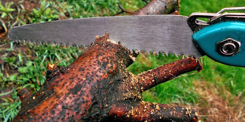 Tree Pruning